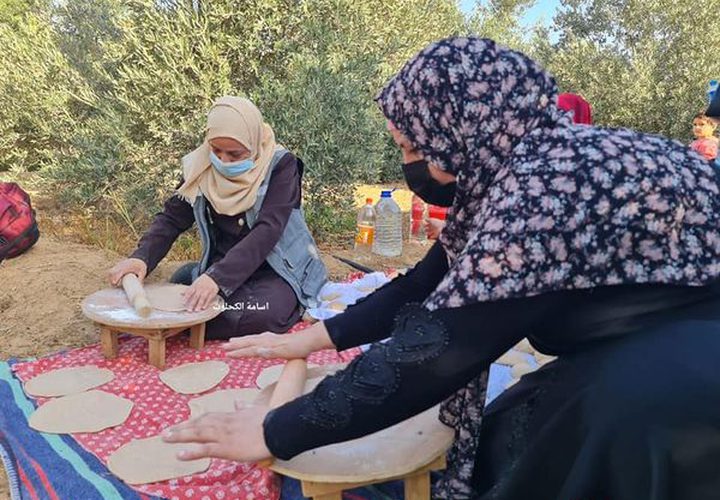 فزعة شبابية لمساعدة أصحاب الأراضي في جني الزيتون شرق المغازي
تصوير أسامة الكحلوت