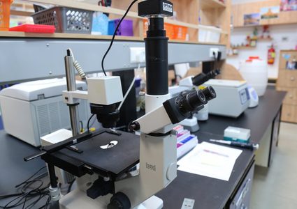 فريق بحثي من جامعة النجاح ينشرون مقالا علميا بمجلة علمية محكمة