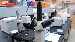 فريق بحثي من جامعة النجاح ينشرون مقالا علميا بمجلة علمية محكمة