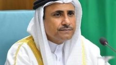رئيس البرلمان العربي: نواصل التحرك الدولي لدعم القضية الفلسطينية