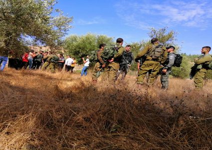 إصابة العشرات بالاختناق إثر اعتداء جيش الاحتلال على قاطفي الزيتون