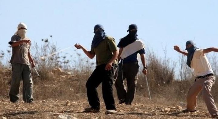 مستوطنون يعتدون على مواطنين شرق يطا جنوب الخليل