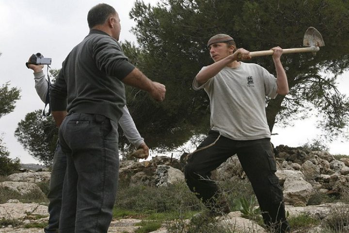 مستوطنون يسرقون معدات قطف الزيتون في"يتما" جنوب نابلس