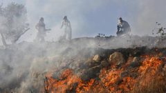 نابلس: مستوطنون يضرمون النار بأراض زراعية في برقة