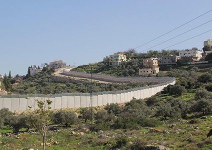 قلقيلية: الاحتلال يمنع المزارعين من الوصول لأراضيهم خلف الجدار