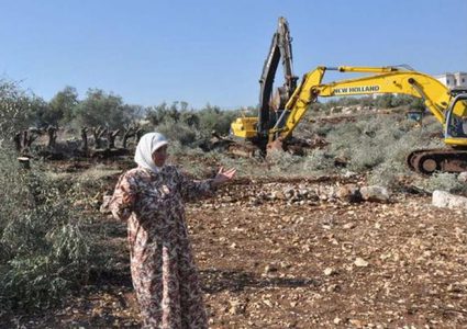 مستوطنون يقتلعون أشجار الزيتون ويشقون طريقا شمال غرب نابلس