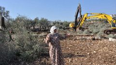مستوطنون يقتلعون أشجار الزيتون ويشقون طريقا شمال غرب نابلس