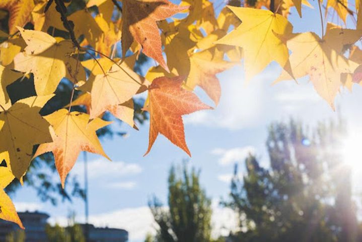 حالة الطقس: اجواء خريفية باردة نسبيا