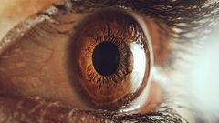 علامات تدل على تدهور صحة الرؤية والإبصار