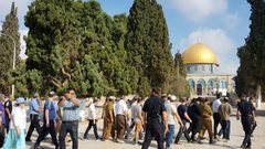 مستوطنون يقتحمون الأقصى وينفذون جولات استفزازية