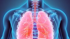 اكتشاف ملوثات هواء كيميائية تسبب الربو