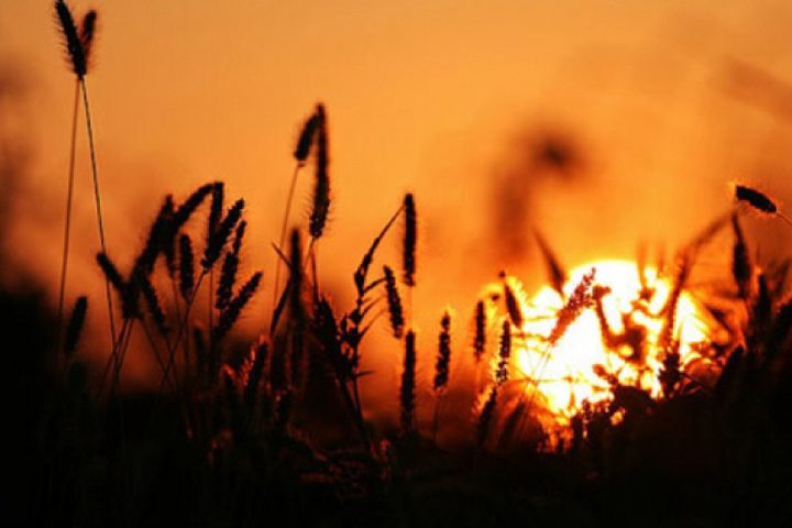 حالة الطقس: انخفاض على درجات الحرارة اليوم وارتفاعها غدا