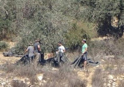 مستوطنون يسرقون معدات خاصة بقطف الزيتون من أراضي جالود