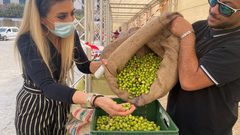 بيت لحم: اختتام فعاليات مهرجان قطف الزيتون السنوي