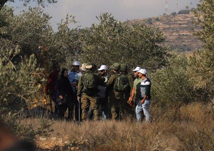 مستوطنون يعتدون على أراضي المواطنين في كفر قدوم