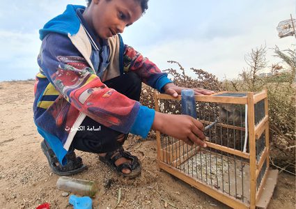 مهنة صيد العصافير على شاطئ دير البلح