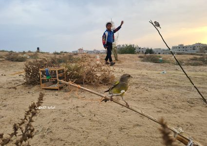 مهنة صيد العصافير على شاطئ دير البلح