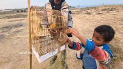 مهنة صيد العصافير على شاطئ دير البلح