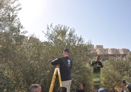 الأونروا تدعم المزارعين اللاجئين خلال موسم قطف الزيتون