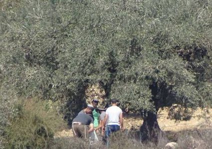 أهالي قرية كفر قدوم يتصدون لهجوم للمستوطنين على أراضيهم