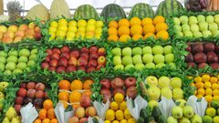 فاو: أسعار الغذاء العالمية تسجل أعلى مستوياتها في 10 سنوات