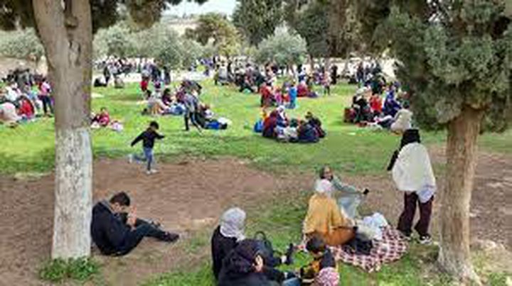 مستوطنون يهاجمون متنزها للأطفال شرق يطا