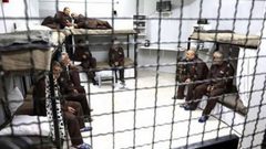 ستة أسرى يواصلون إضرابهم عن الطعام وسط تهديد خطير على حياتهم