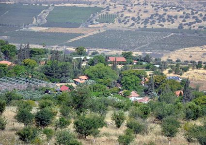 جيش الاحتلال يعتقل شخصين بتهمة اجتياز السياج الحدودي نحو الجولان