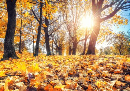 الطقس: أجواء حارة وجافة حتى الأربعاء