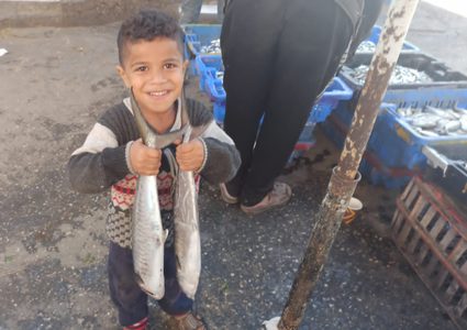 جانب من نتاج الصيد في ميناء دير البلح صباح اليوم