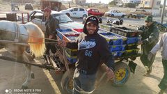 جانب من نتاج الصيد في ميناء دير البلح صباح اليوم