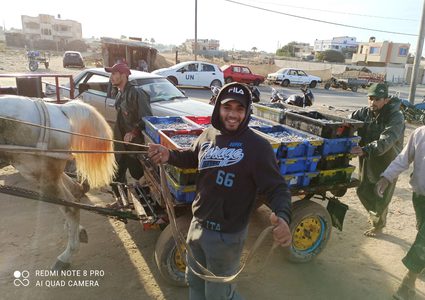 جانب من نتاج الصيد في ميناء دير البلح صباح اليوم