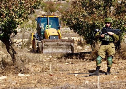 الاحتلال بجرف اراض زراعية جنوب بيت امر بالخليل