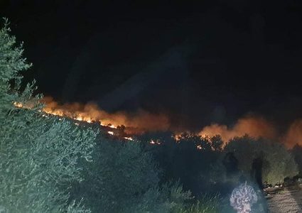 حرائق في أنحاء متفرقة بالضفة تطال ممتلكات ومئات الأشجار