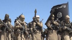 مقتل أكثر من 50 من أفراد "داعش" في نيجيريا