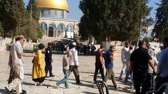 عشرات المستوطنين يقتحمون "الأقصى"