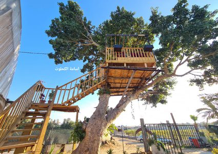 مزارع يبني حديقة معلقة على شجرة معمرة في أرضه المزروعة بالفراولة