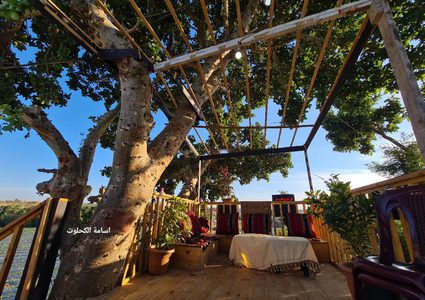 مزارع يبني حديقة معلقة على شجرة معمرة في أرضه المزروعة بالفراولة