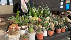 عمادة شؤون الطلبة تنظم معرض"موهبتي" الرابع