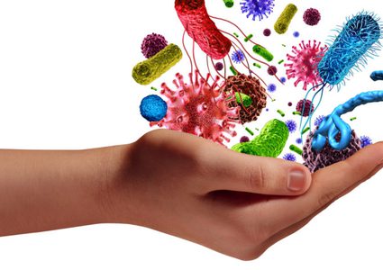 هكذا تساهم البكتيريا في الحفاظ على جمال وشباب البشرة