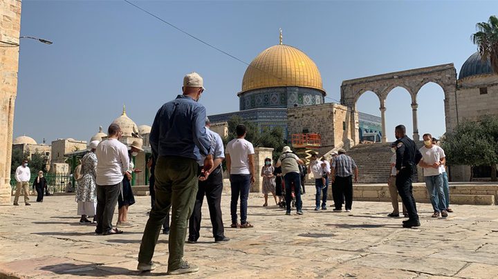 73 مستوطنا يقتحمون "الأقصى"