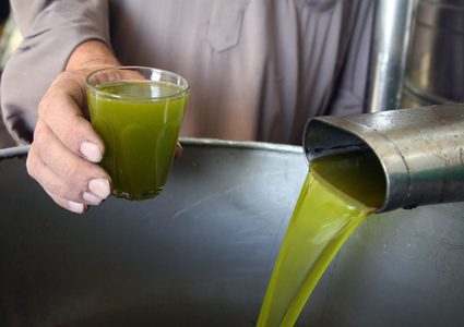 مهنا: السماح بإدخال زيت الزيتون الى المملكة الاردنية الهاشمية