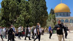 مستوطنون يقتحمون الأقصى وسط دعوات لاقتحامات واسعة
