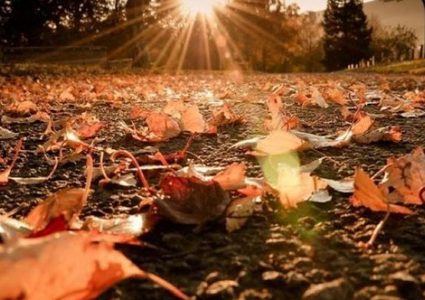 الطقس: أجواء خريفية معتدلة حتى يوم الأحد