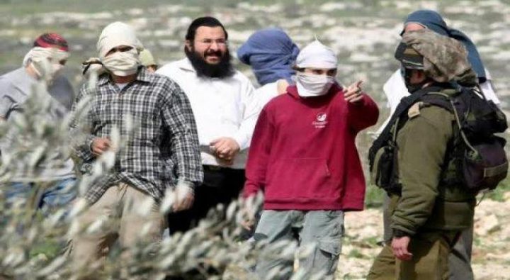 نابلس:مستوطنون يهاجمون منازل المواطنين في برقة