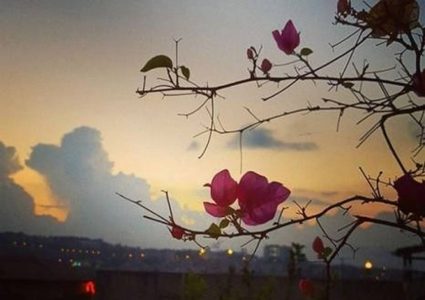 أجواء خريفية وارتفاع طفيف على درجات الحرارة