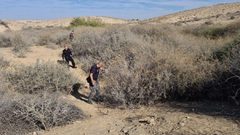 العثور على جمجمة إنسان قرب بئر السبع