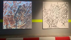 معرض "صورة ذاتية" يجسد حلولاً لقضايا المجتمع عن طريق الفن