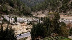 مستوطنون يقتحمون محمية وادي القف في الخليل