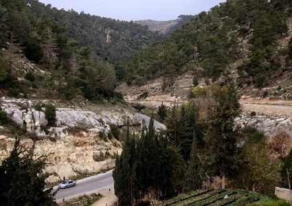 مستوطنون يقتحمون محمية وادي القف في الخليل